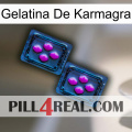 Karmagra Jelly 03